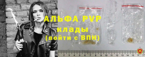 твердый Абаза